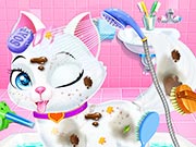 Animal Daycare: Pet Vet & Grooming Games