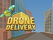 Drone Delivery