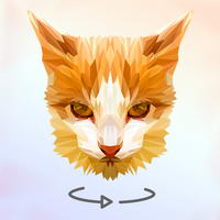 Poly Art